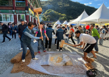 담양군, 제1회 월산면 용구산 들꽃축제 성황