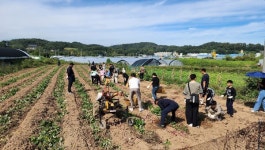 금왕읍 용계2리 추억의 광산축제 주민 호평 속 성료