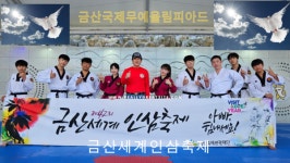 금산세계인삼축제, 태권도 진수를 보다