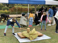 도심에서 경험하는 가을걷이! 용산가족공원으로 떠나요