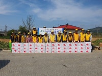 소이면노인회분회, 사랑의 고구마 나눔