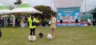 화순 가을꽃과 함께하는 반려동물 펫스티벌 개최