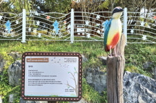 청산면 백운리, 새뜰마을사업 준공 및 제3회 국화축제 개최