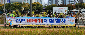대구공공시설관리공단 신천수변공원사업소, 논·둠벙 추수 및 벼 베기 체험 행사 개최