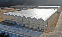 경주시, 청년농업인 임대농장에서 첫 수확… 미래 농업인 육성 박차