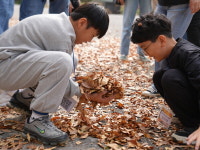 (재)담양군문화재단, 가을에 떠나는 담양소풍 담풍