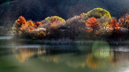 [카메라 뉴스] 전북 진안 주천생태공원 가을풍경