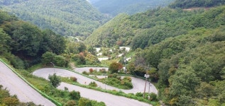 보은국유림관리소, 명품숲 가꾸기로 지역관광 활성화