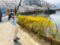 심천초, 봄과 함께 다름에 대한 이해를 높이다
