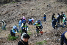 논산시, 푸른 하늘, 지구 지키는 나무 심기 함께 해요