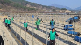 금산군 남일면 바르게살기협‧새마을지도자협, 부상 농민 농번기 일손 돕기 봉사