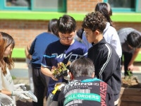 내토초등학교, 봄맞이 학교 텃밭 가꾸기 활동 전개