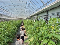 옥천군농업기술센터, 12일부터 공공급식 품목 체험행사 시작