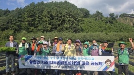 상촌면 새마을지도자부녀회사랑의 김장배추 심기봉사활동