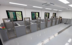 단양군, 유기동물 직접 돌본다···동물보호센터 본격 운영