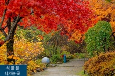 추석 황금연휴,수목원에서 즐기는 숲캉스