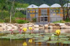 추석 황금연휴,수목원에서 즐기는 숲캉스