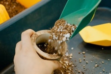 추석 황금연휴,수목원에서 즐기는 숲캉스