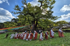 천태산 영국사, 천년 은행나무 앞에서 당산제 봉행
