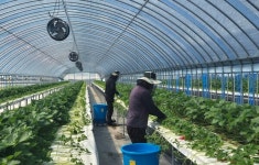 진료는 찾아가고, 농업은 키우고, 복지는 연결한다