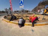금산군 스포츠·문화복지·경관 개선 생활밀착 정책 확대