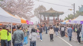 현장 민원 해결·봄꽃 힐링 보령시, 시민 체감 행정·관광 두 축 강화