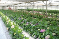 전남 강진군, 농촌진흥청 공모사업 선정 10억 확보