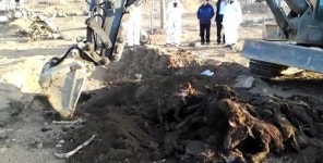 순천 석동마을 염소 30마리 떼죽음 몰래 매립