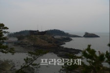 [여행스토리] ⑥ 싸목싸목 걸어서 좋은 슬로시티 섬 신안군 증도