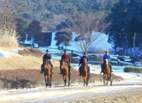 [포토] 화순고인돌유적지 풍경