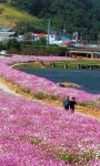 가을 미각여행 광양전통숯불구이 축제