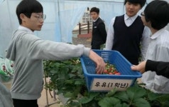 화순도곡중, 아이들의 끼 찾아주는 교육 박수