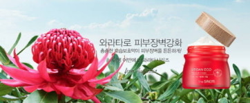 더샘 어반에코 와라타 라인 출시