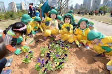광주 광산구, 한마당 축제된 식목행사