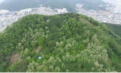 부산 연산동 배산성지 실체 밝히다