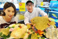 홈플러스 제주 금빛 찰광어 4~9월 적기, 지금 맛보세요