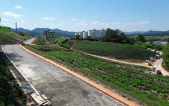 화순 남산공원을 아시나요?