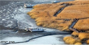 순천만국가정원·만습지, 한국관광 100선 선정