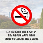 [우리모두뉴스: 카드] 노래방은 꼭 금연구역이면 좋겠어요
