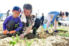 진주시 시민텃밭, 주말가족 행복 UP