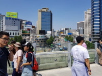 [인사이드컷] 서울로 7017 걸어보니…공중서 만난 박석