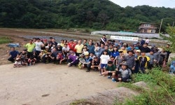 광양시 태인동 용지큰줄다리기보존회 사랑의 주말농장 개장