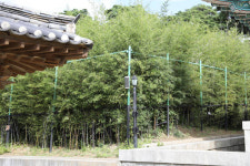 [전남율곡통일리더스쿨⑧] 오죽헌과 강릉통일공원