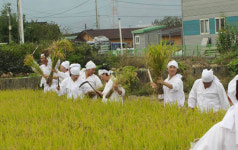 광주 북구, 용전마을 일원 가을걷이 한마당 개최