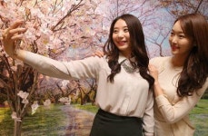 [포토] 현대시티몰 가든파이브 벚꽃 인증샷 이벤트 마련