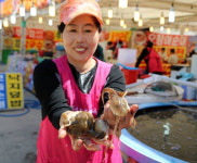 주꾸미 먹고 튤립도 보고~ 태안시 쭈꾸미축제