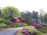 예산군, 봉수산 자연휴양림 삼림욕장으로 인기