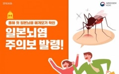 [우리모두뉴스]  강원도에 일본뇌염을 걸리게 하는 모기가 나타났어요