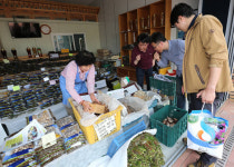 산청약초시장, 20~50% 할인행사