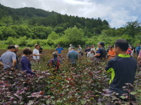 산청군, 약초재배 전문기술교육 현장견학